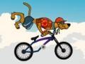 BMX тоглоом 