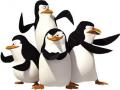 Мадагаскар тоглоом Penguins 