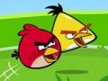 Angry Birds тоглоом 