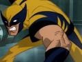 Нохой зээх болон X-Men тоглоом 