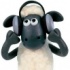 Тоглоомын Shaun Хонины онлайн 